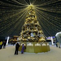 Наша елка :: Андрей Зайцев Наша елка :: Андрей Зайцев