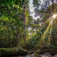 Солнечный луч :: Dmitry i Mary S Солнечный луч :: Dmitry i Mary S