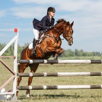 Конкур :: SanSan 