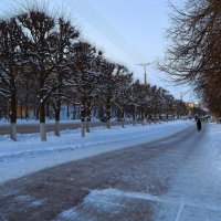 Чебоксары. Липовая аллея на проспекте Ленина зимой. :: Пётр Чернега