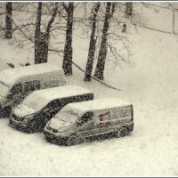 Метель :: Aleksandr Gal