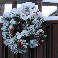 Рождественский венок :: Ольга 