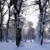 Парк Южный, Калининград :: Рита Симонова