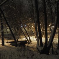Зимний Вечер в Парке :: юрий поляков