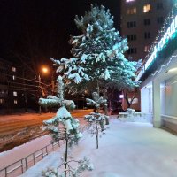 В снежное Рождество... :: Olga Oskolkova