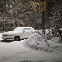 "всегда на свежем воздухе" :: Olga Oskolkova