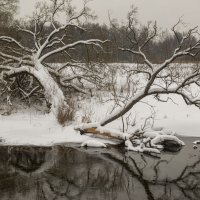 На берегу реки Истра. :: Николай Галкин 