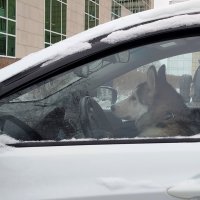 Неожиданно :: светлана льдокова