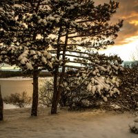 Рассвет. :: Сергей Воротников