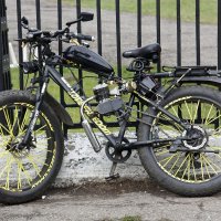 Мир  Сибири - 2022 :: Виктор 