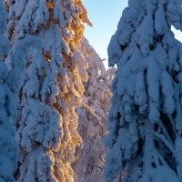 Утро на Южном Урале :: Евгений Тарасов 