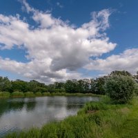 Весенний пруд... :: Николай Гирш