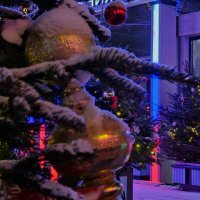 Ярко красочные цвета :: Мария Яковлева