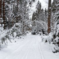 Не проехать, не пройти! :: Милешкин Владимир Алексеевич 