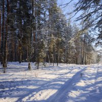 Эх, по дорожке, да по снежной! :: Валерий VRN