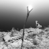 Фотография :: Денис Безногов Фотография :: Денис Безногов