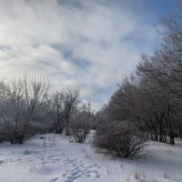 Там в январе :: Андрей Хлопонин Там в январе :: Андрей Хлопонин