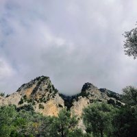 Вершина. :: Георгиевич Вершина. :: Георгиевич