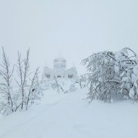 Белогорье :: Лариса С.