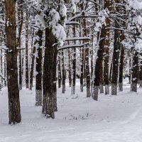 Городской парк :: Игорь Сикорский