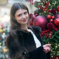 Прогулка с Виолеттой 29 декабря :: Михаил Бибичков