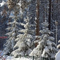В городском парке :: Галина Нестратова
