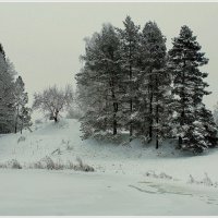 *** :: Aleksandr Gal *** :: Aleksandr Gal