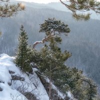 Над тайгой :: Марина Фомина.