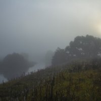 Туман. :: Александр. AVG100 ---