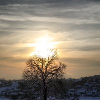 На закате :: Oleg S