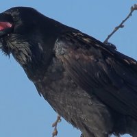 Мудрец :: Михаил Андреев