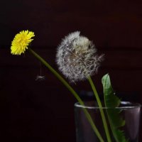 Про миг :: Лена -