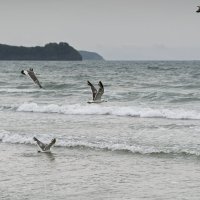 Цифра 5 :: Alexandr Khizhniak