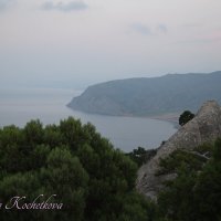 Природа Крыма :: Amazing Cosmea