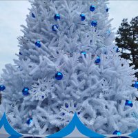 Фрагмент снежной ёлки! :: Надежда Фрагмент снежной ёлки! :: Надежда