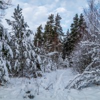 Четвертый день нового года :: Андрей Дворников