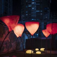 Что-то новое :: Vsevolod