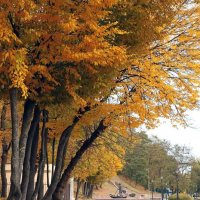 В парке. :: Сергей Рожков