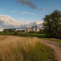 Путь к элеватору... :: Николай Гирш