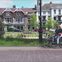 "Солнце на спицах, синева над головой..." :: Валерий Готлиб