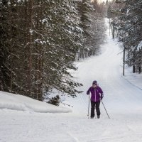 На лыжне :: yav 110455