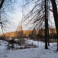 Павловский парк :: Наталья Герасимова