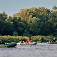 Прохладное утро :: Валерий Судачок Прохладное утро :: Валерий Судачок