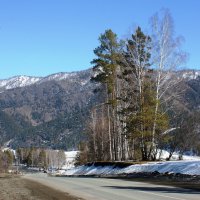 Природа Алтая :: Галина Нестратова