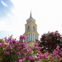 Майским днем :: Лариса С.