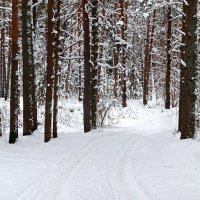 Зима в начале января :: Милешкин Владимир Алексеевич 