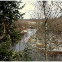 *** :: Aleksandr Gal