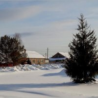 Зимние картинки :: Валентина Надсон