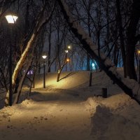 Вечер :: юрий поляков