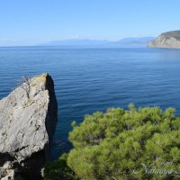 Природа Крыма :: Amazing Cosmea